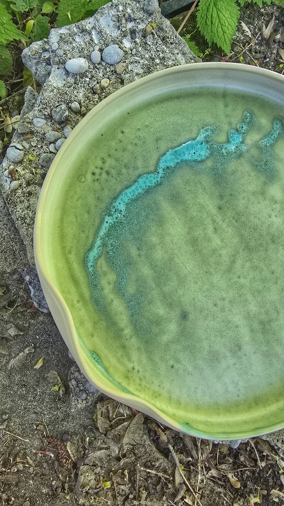 Dinner Plate