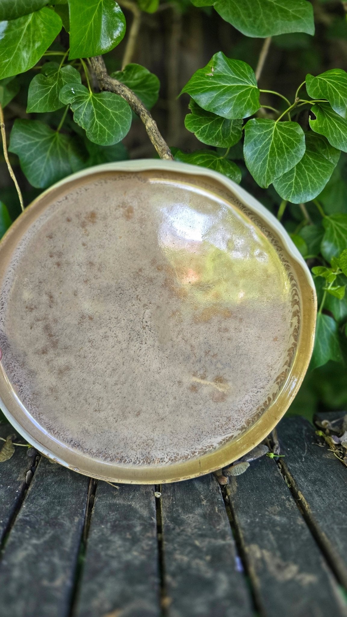 Dinner Plate