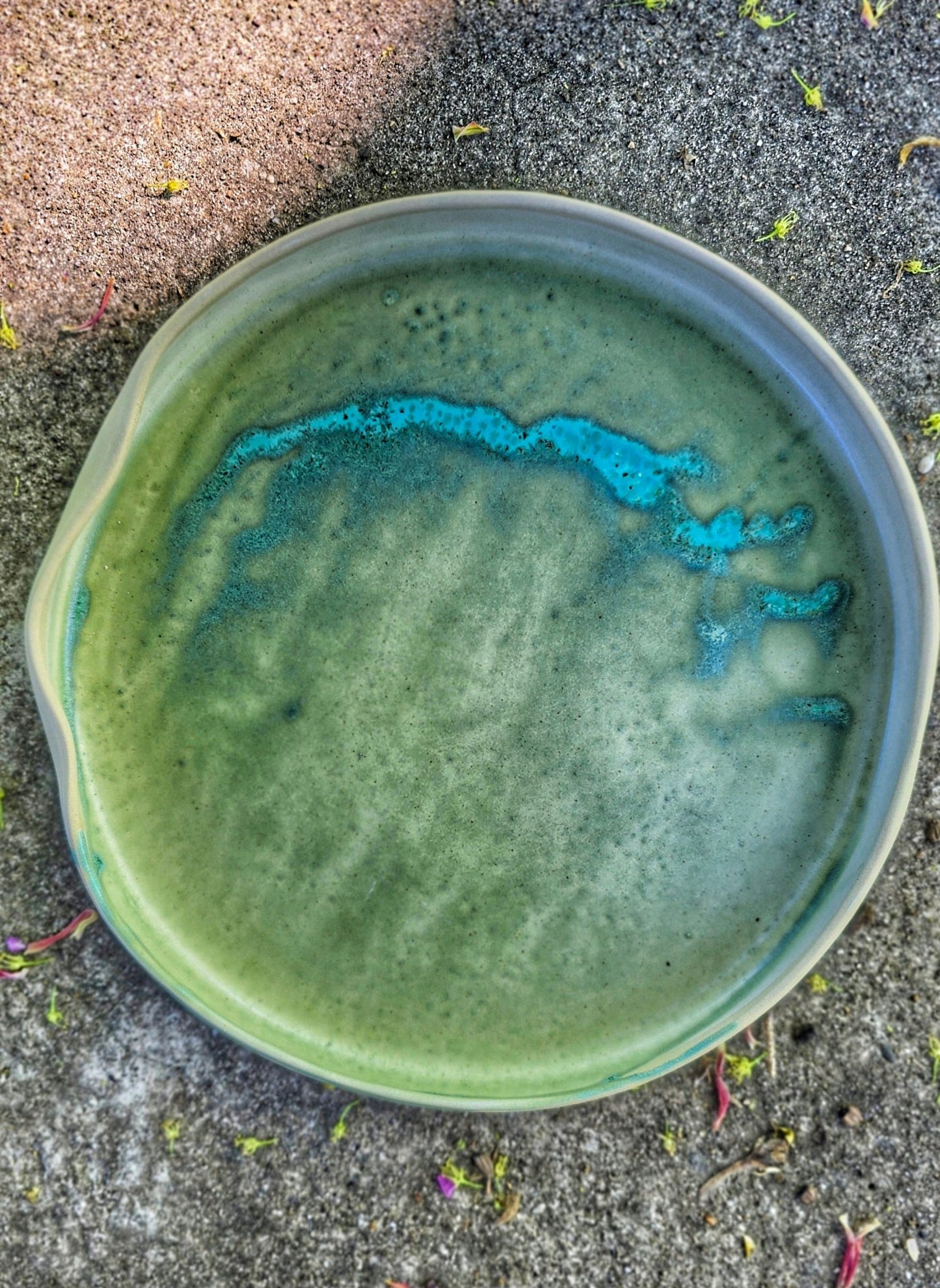 Dinner Plate