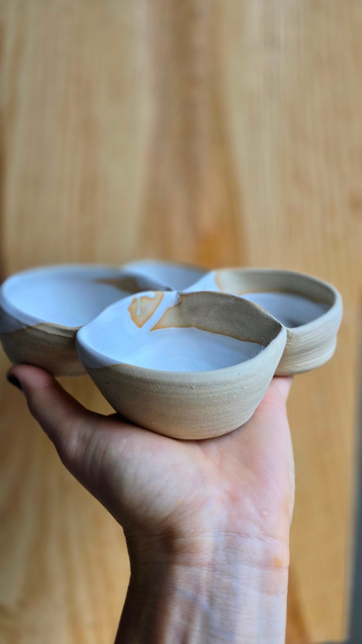 4 in 1 Bowl